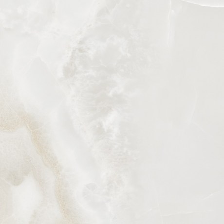 50341a3d85f3c968fcfadfc9bdd37614